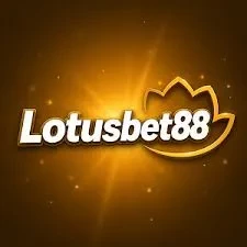 Panduan Lengkap Aplikasi lotusbet88 untuk Pemula
